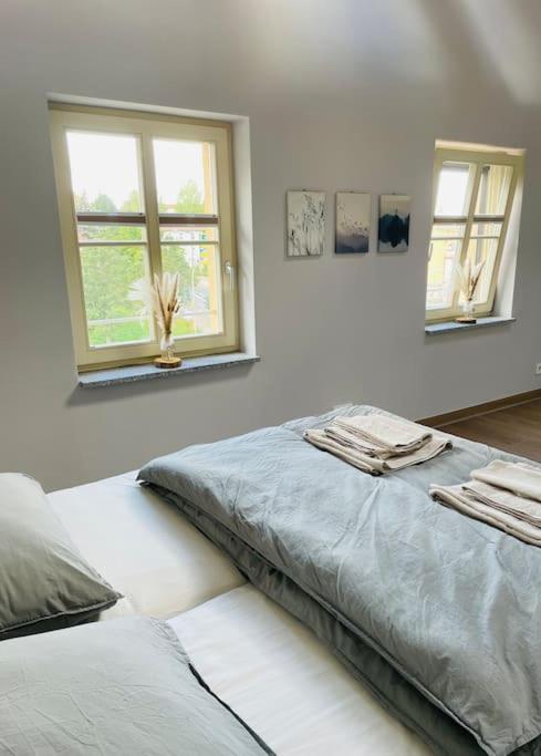 Traumvilla Im Herzen Hainichens Ngoại thất bức ảnh