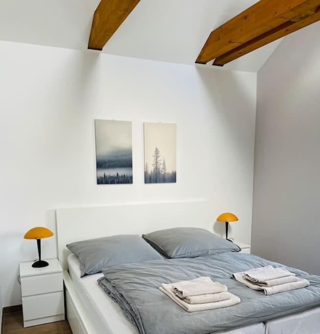 Traumvilla Im Herzen Hainichens Ngoại thất bức ảnh